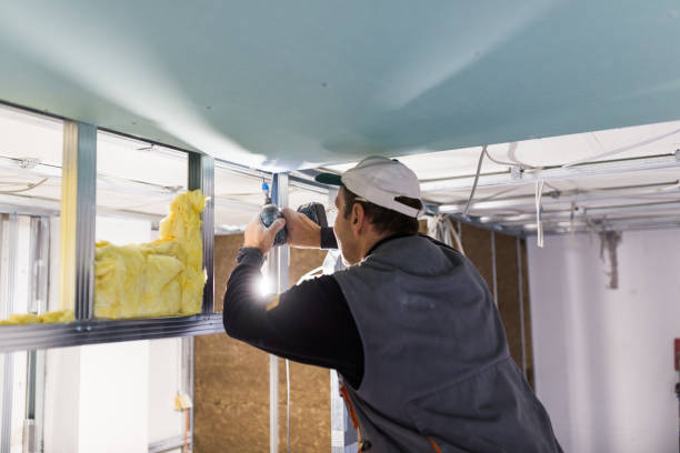 Best Home Insulation Services  in Biola, CA