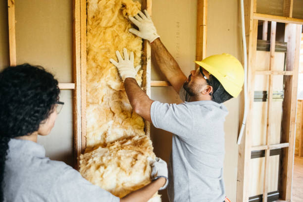 Best Insulation Contractors for Homes  in Biola, CA