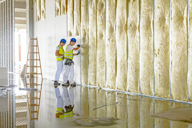 Best Fiberglass Insulation  in Biola, CA